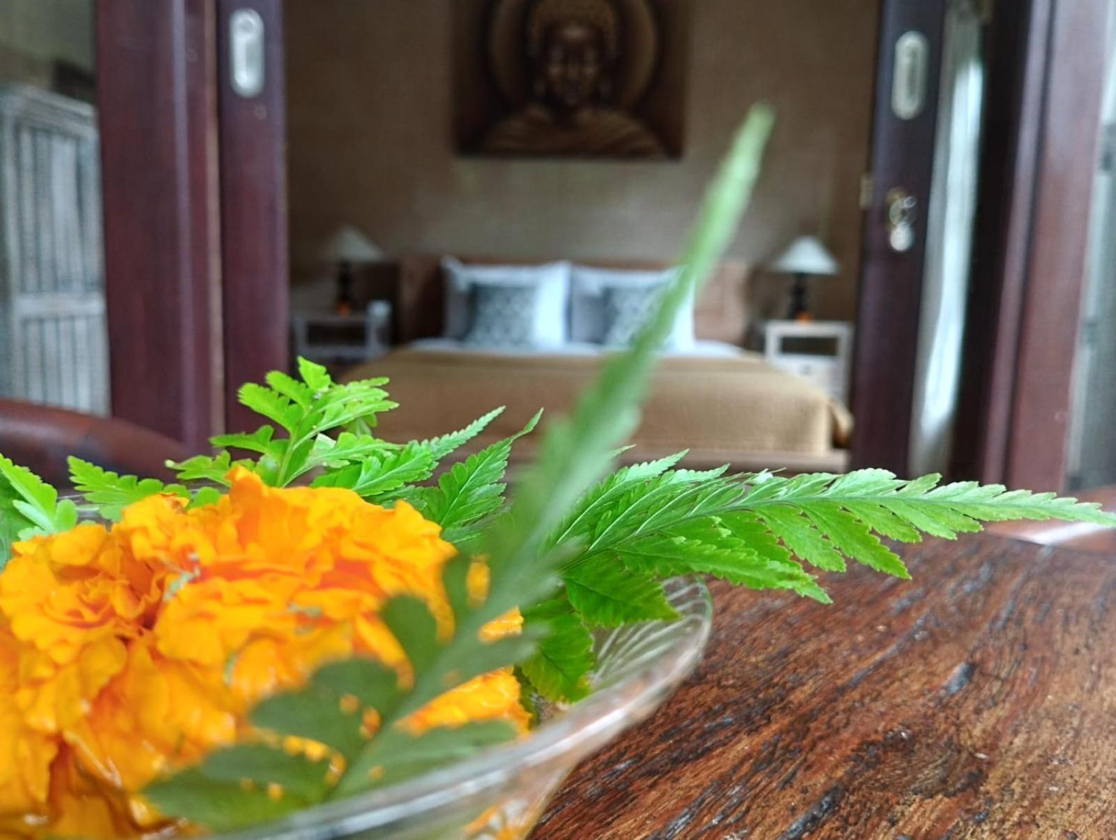 Umah Ubud Guest House Экстерьер фото